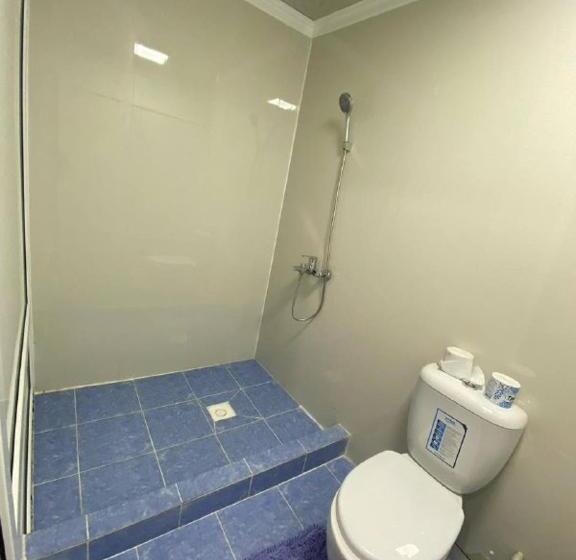 اتاق لوکس, Naryn Guest House