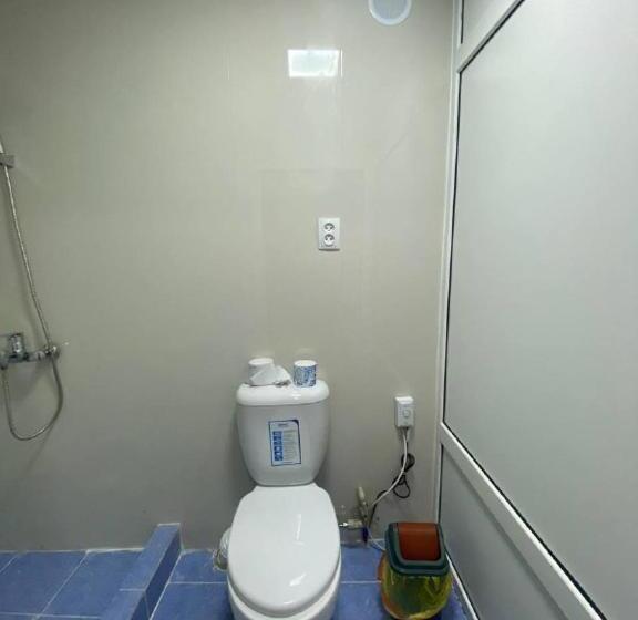 اتاق لوکس, Naryn Guest House