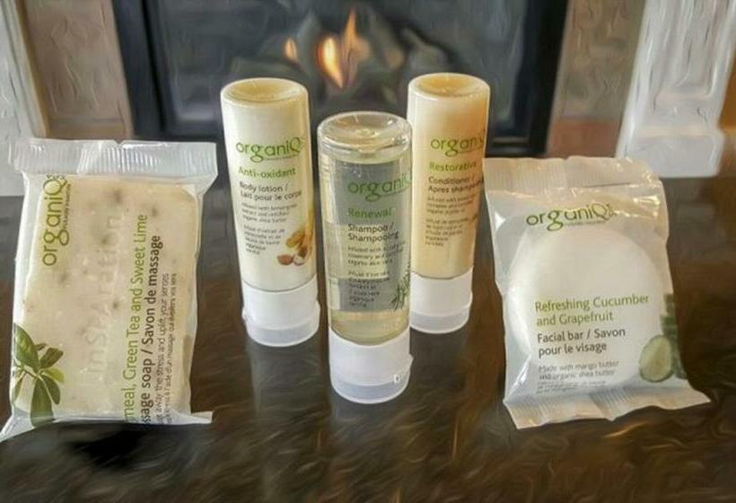 キングサイズベッドのスタンダードルーム, Chautauqua Resort & Conference Center