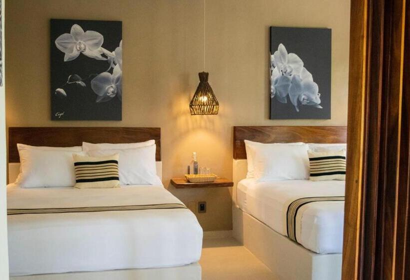 Suite Supérieure, Ciye