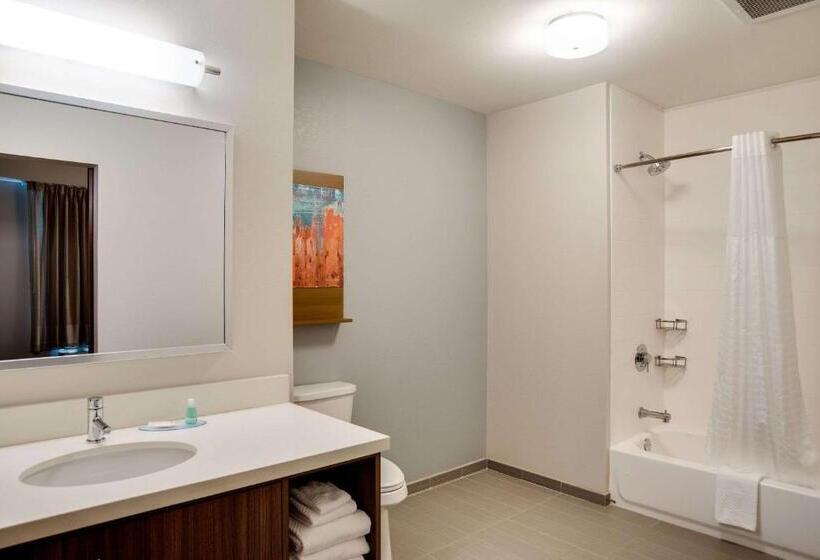 适合残疾人士使用的套间, Mainstay Suites Carlisle  Harrisburg