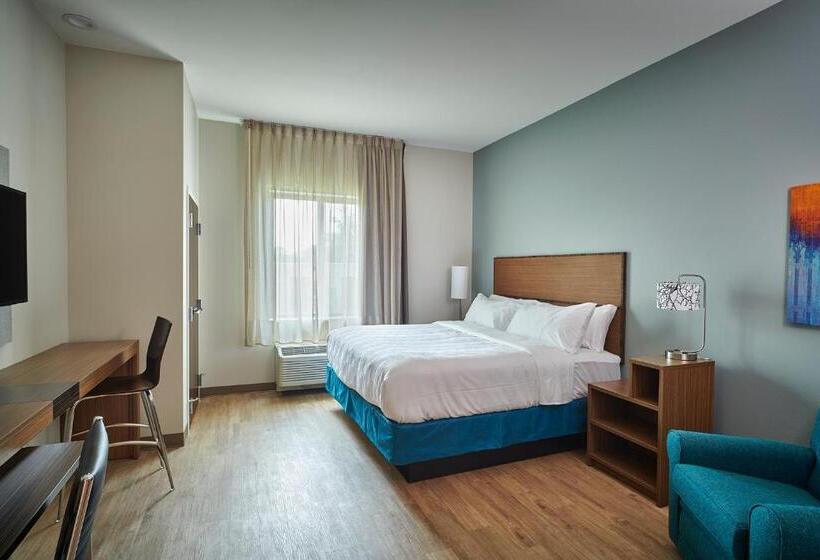 带大床的套房, Mainstay Suites Carlisle  Harrisburg