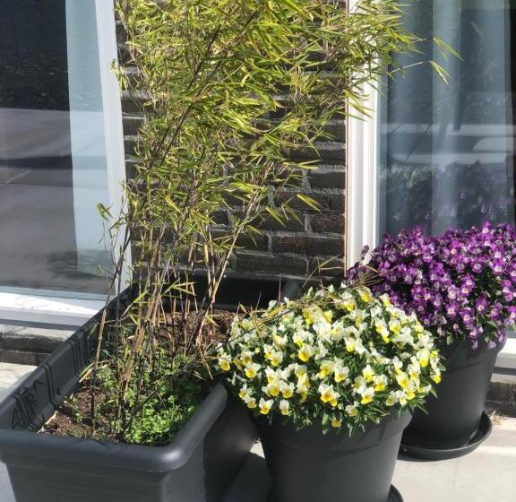 חדר דחוקס עם מיטת קינג, Bnb Purmerland