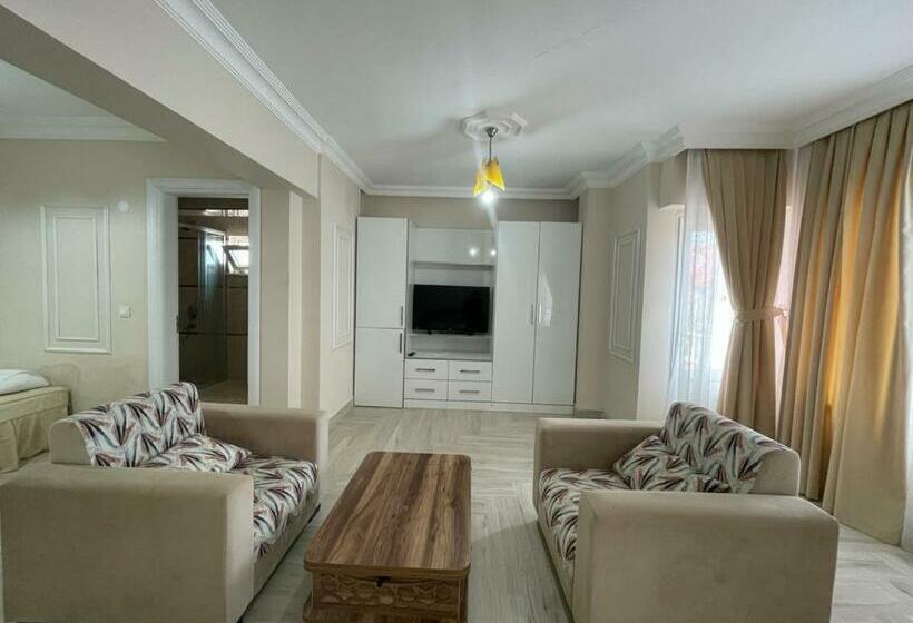 Номер Стандарт, Vi̇zyon Resort