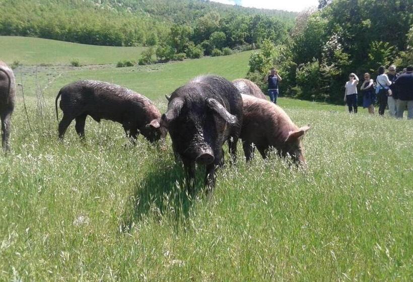 Номер Стандарт, Resort La Dimora Maiale Brado Di Norcia