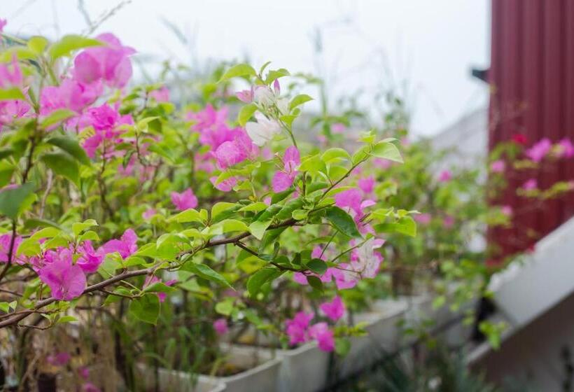 اتاق خانوادگی, Oriental Suites Hotel & Spa