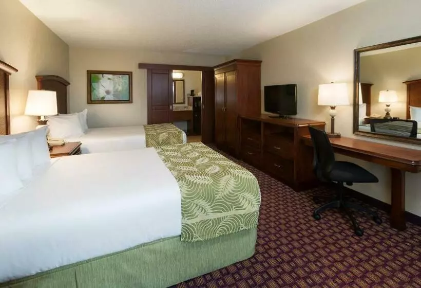 ２ダブルベッドのスタンダードルーム, Rosen Inn International