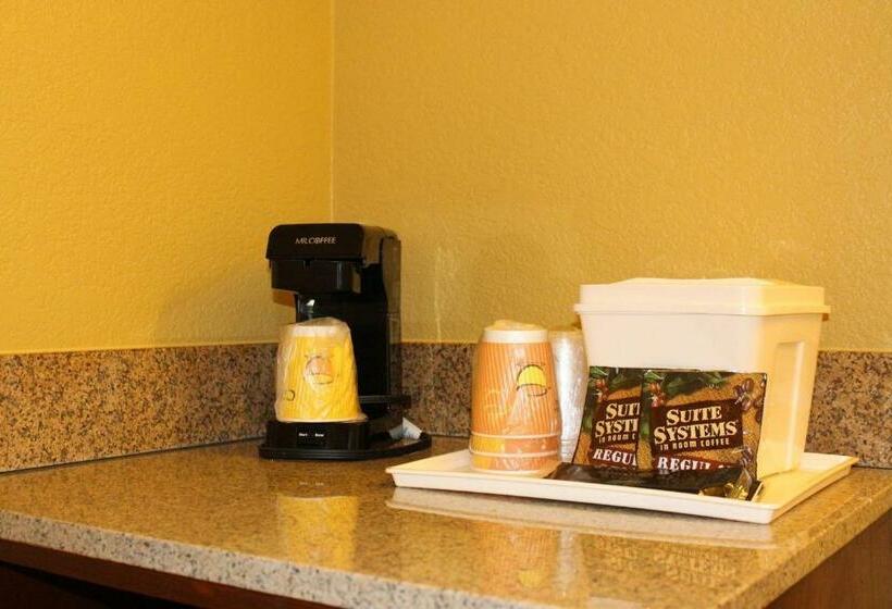 غرفه قياسيه سريرين مزدوجين, Rosen Inn International