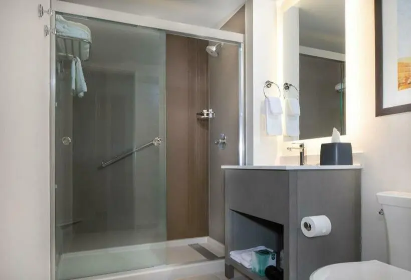 キングサイドベッドのスタンダードワンルーム, Hyatt House Lewes Rehoboth Beach