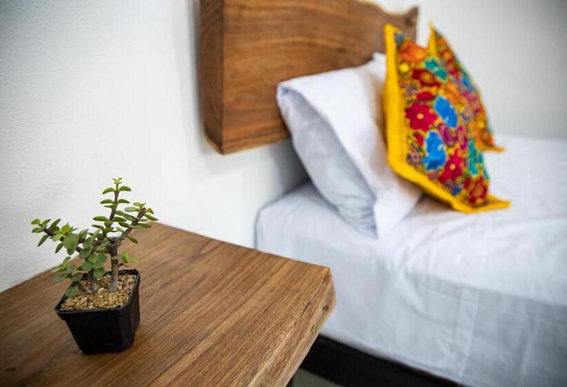 ガーデンビュースタンダードルーム, & Temazcal Bacalike