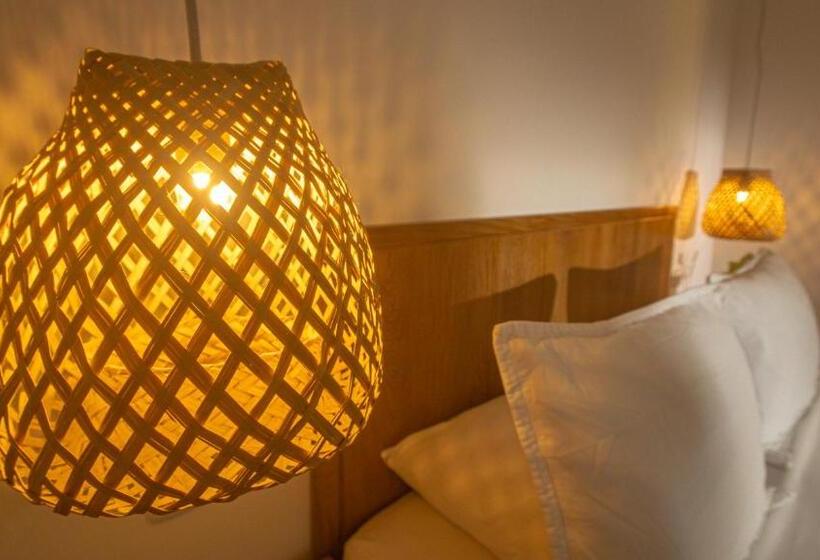 Номер Стандарт, Centro Monteria