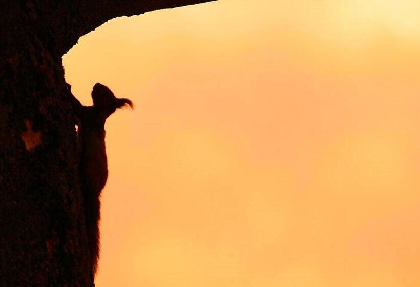 Номер Стандарт, カフェロッジ Touch Wood