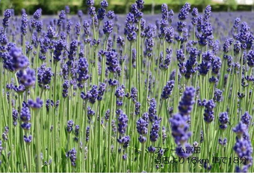 Номер Стандарт, カフェロッジ Touch Wood