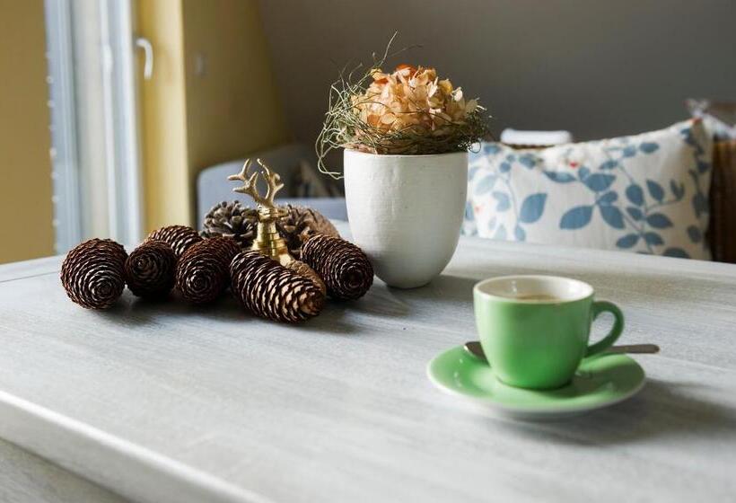 스탠다드 룸, Berghaus Freiburg Appartement Hotel Auf Dem Schauinsland