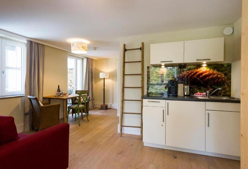 스탠다드 스튜디오, Berghaus Freiburg Appartement Hotel Auf Dem Schauinsland