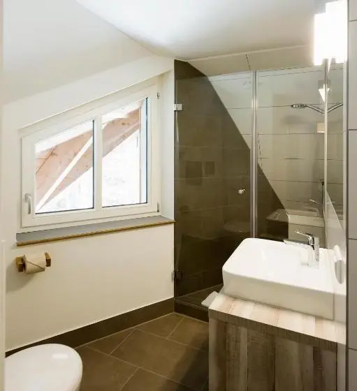 デラックスジュニアスイート, Berghaus Freiburg Appartement Hotel Auf Dem Schauinsland