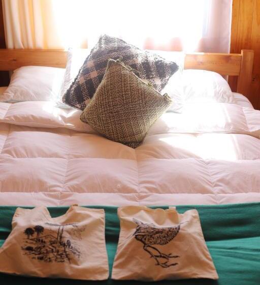 חדר מוזל מקלחת משותפת, Profe Nelson