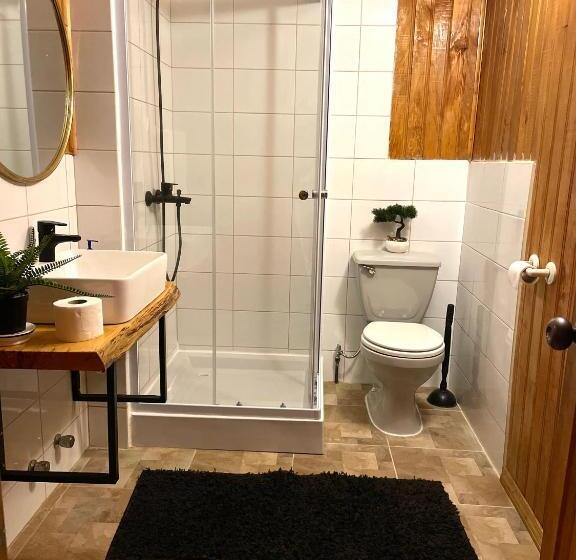 חדר סטנדרט, Profe Nelson