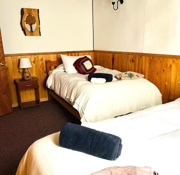 חדר סטנדרט, Profe Nelson