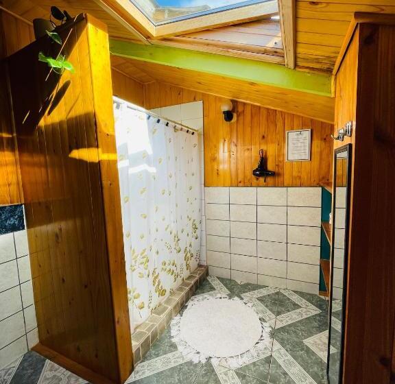 חדר סטנדרט חדר אמבטיה משותף, Profe Nelson