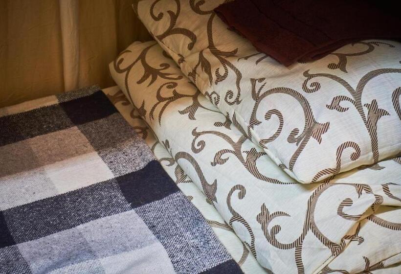 اتاق سوپریور چهار تخته, Sleep&go