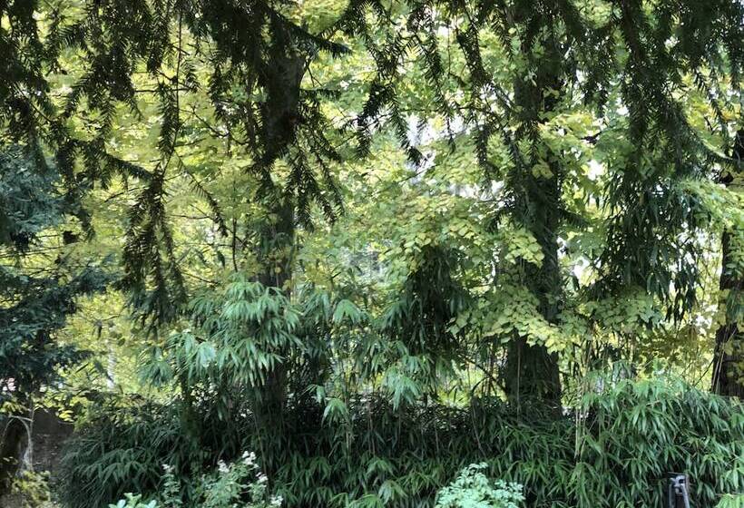 Номер Superior, La Villa Rochette