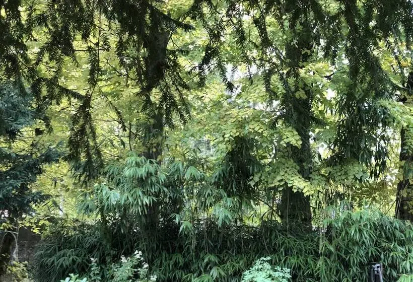 スーペリアールーム, La Villa Rochette