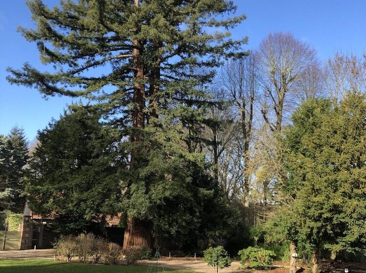 Номер Superior, La Villa Rochette