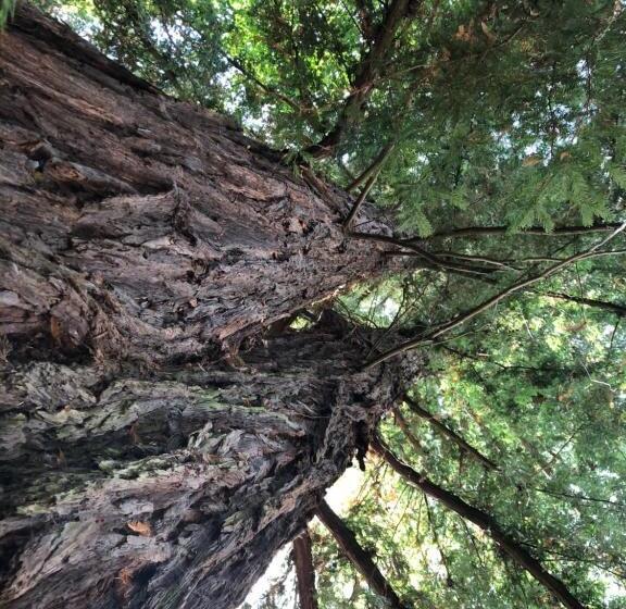 Номер Superior, La Villa Rochette