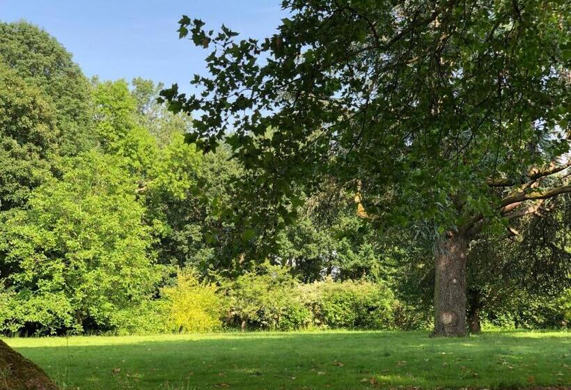 Номер Superior Кровать Кинг, La Villa Rochette