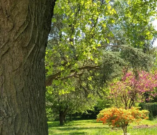 テラス付きスタンダードルーム, La Villa Rochette