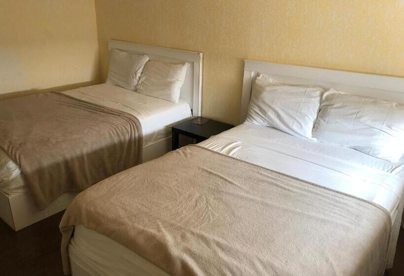 Номер Economy, Langham Motel