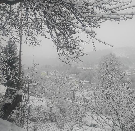 Номер Стандарт Вид на Горы, садиба у власія