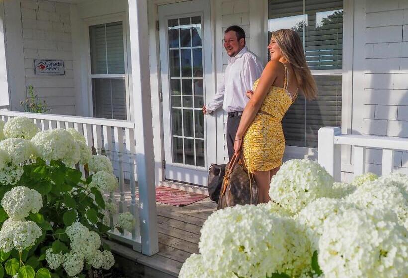 스탠다드 룸 킹사이즈 침대, Auberge Thon Jaune   Yellow Tuna