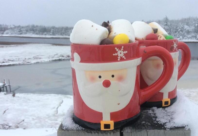 스탠다드 룸 킹사이즈 침대, Auberge Thon Jaune   Yellow Tuna