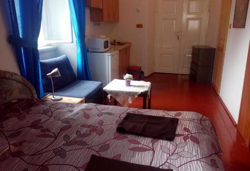 חדר סטנדרט עם מיטת קינג, Fara Choustníkovo Hradiště