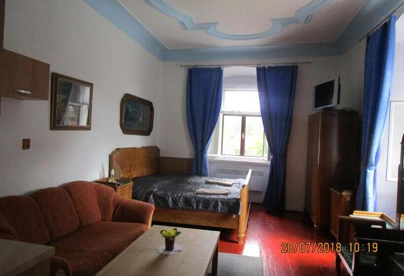 חדר סטנדרט עם מיטת קינג, Fara Choustníkovo Hradiště