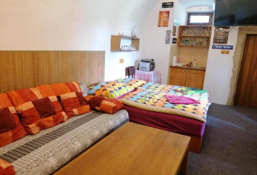 חדר סטנדרט חדר אמבטיה משותף, Fara Choustníkovo Hradiště