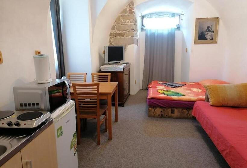 חדר סטנדרט חדר אמבטיה משותף, Fara Choustníkovo Hradiště