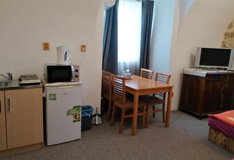 バス共有のスタンダードルーム, Fara Choustníkovo Hradiště