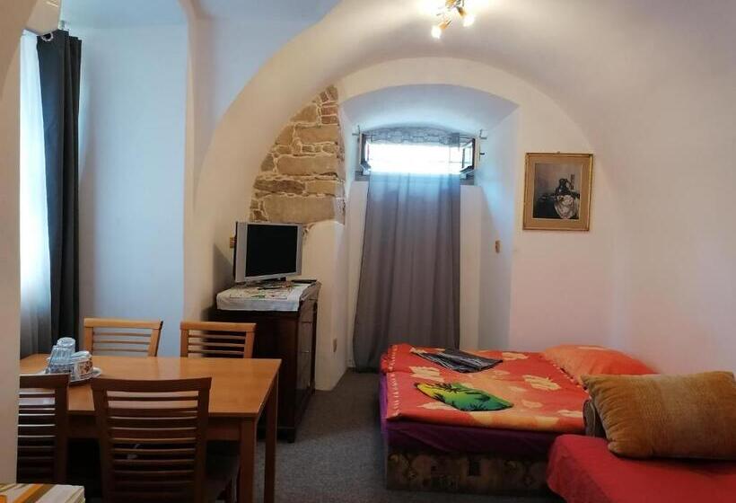 חדר סטנדרט חדר אמבטיה משותף, Fara Choustníkovo Hradiště