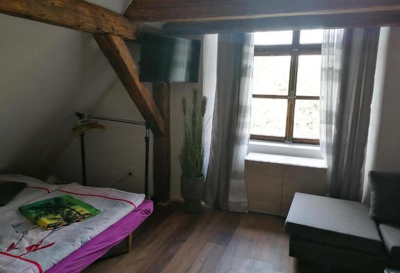 חדר סטנדרט, Fara Choustníkovo Hradiště