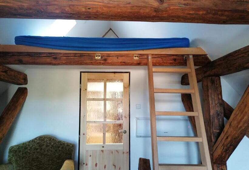 חדר סטנדרט, Fara Choustníkovo Hradiště