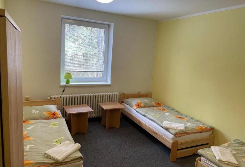 غرفة قياسية ثلاثية, Penzion U Klujů