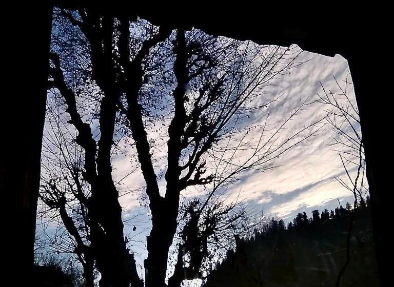 豪华房间, Ayoya Malana Resort Shiva Cafe