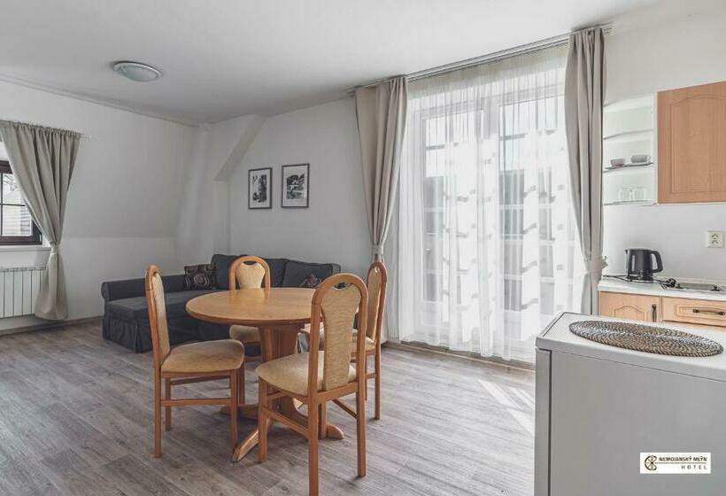 דירת חדר עם טרסה, Nemojanský Mlýn