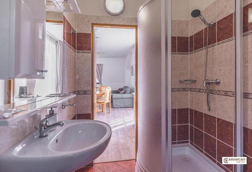 דירת חדר עם טרסה, Nemojanský Mlýn