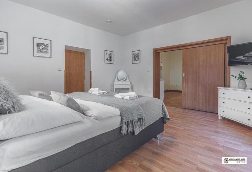 סוויטה עם ג'קוזי, Nemojanský Mlýn