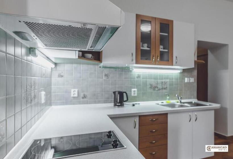 סוויטה עם ג'קוזי, Nemojanský Mlýn