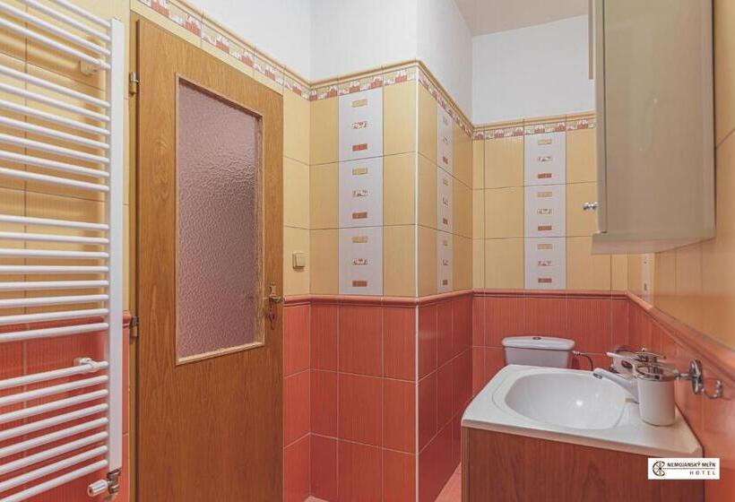 Family Suite, Nemojanský Mlýn